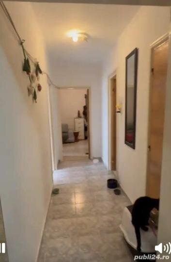 Nicolae Grigorescu, Piata Salajan, Petre Ionescu,